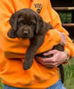 Abe/Garmin Chocolate female, Day 43. June 12, 2012