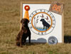 Bones, Master National Finalist, Virginia, Minnesota, October 2008