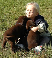 Socializing our Matlock/Billie litter October 25, 2003 (76kb)