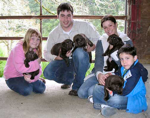 Dish pups, day 8 September 14, 2003