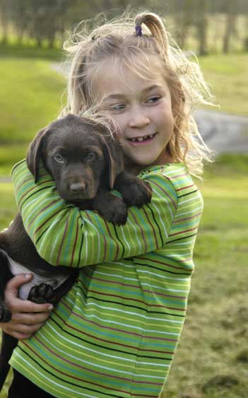 Dish pups, day 8 September 14, 2003