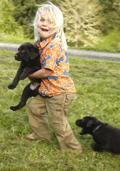 Dish pups, day 8 September 14, 2003