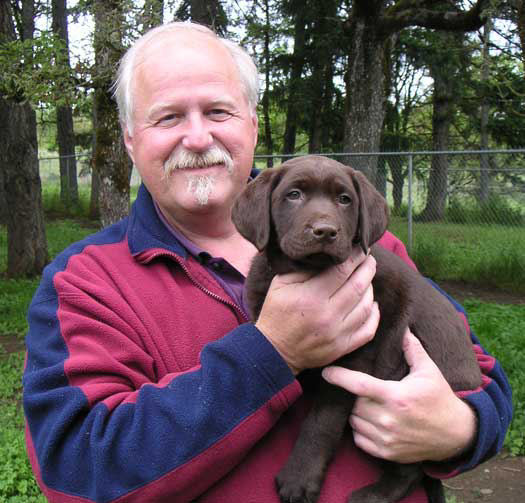 Dish pups, day 8 September 14, 2003