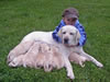 Lance as a pup with his dam Abbigail, May 2006
