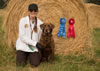 Trulines Wild Son QA2, MH, WCX (Nike) Won the Amateur and placed 2nd in the Open at the Willamette Valley Retriever Club Field Trial on July 21-23, 2017. Nike was handled by Dianne Morley.